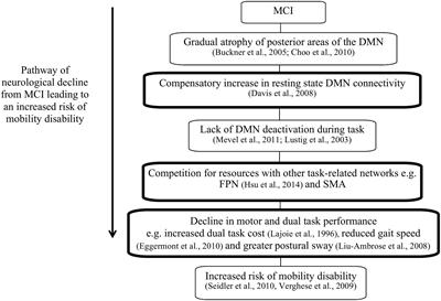 Resting State Default Mode Network Connectivity, Dual Task Performance, Gait Speed, and Postural Sway in Older Adults with Mild Cognitive Impairment